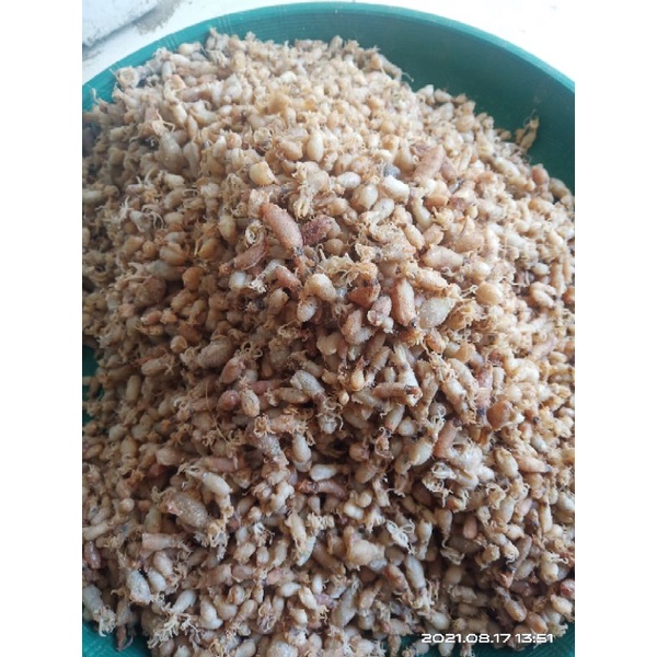 

BABY CUMI TAWAR / 1000Gram