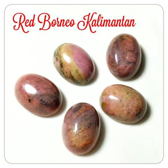 

OBRAL RED BORNEO KALIMANTAN. HARGA MIRING ABIS !!!
