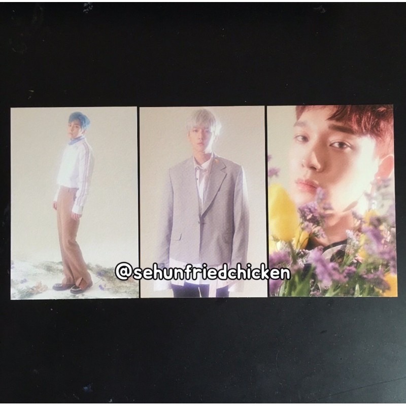 postcard exo cbx baekhyun chen xiumin blooming days album (take all)