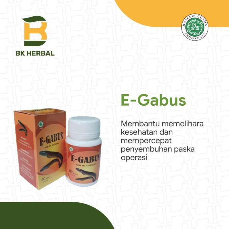 

E - Gabus Ikan Gabus 60 kapsul