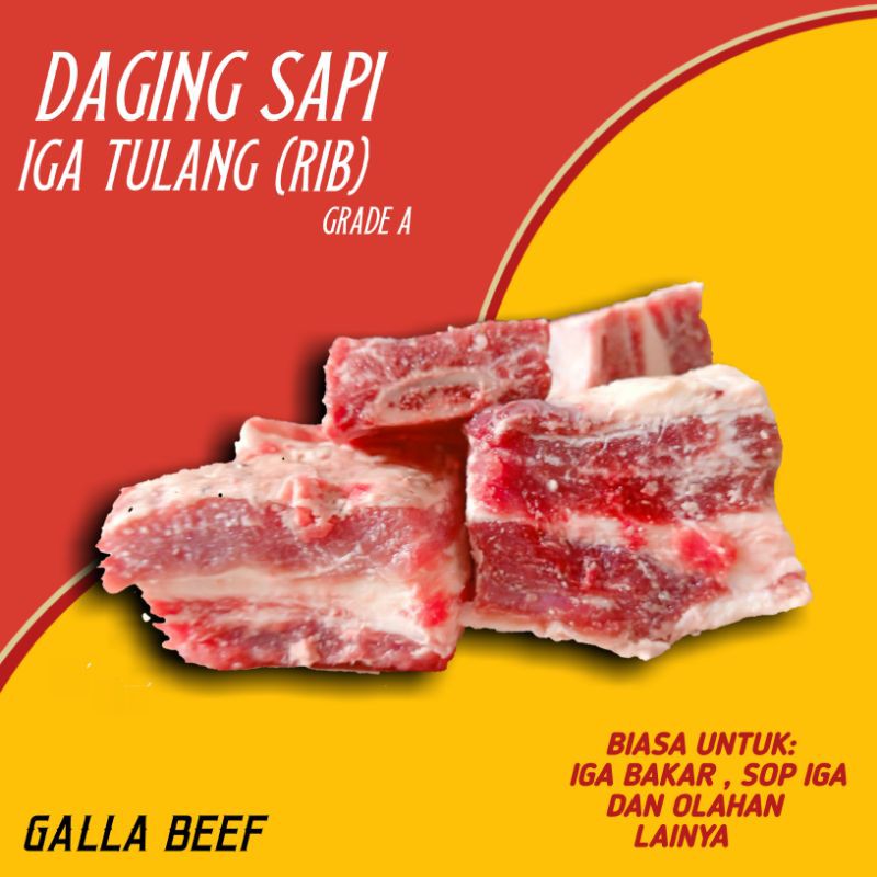 

DAGING IGA TULANG SEGAR