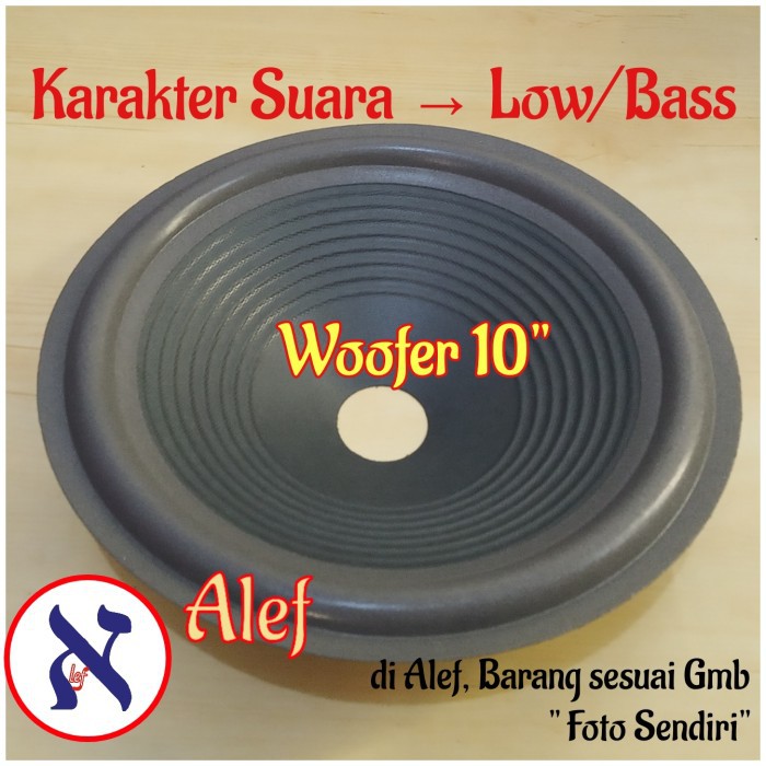 daun speaker 10 inc woofer spiker woofer 10"