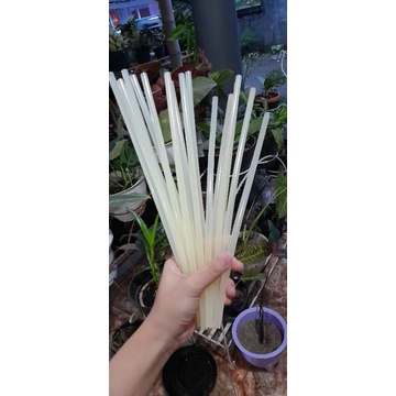 

lem bakar ukuran 30 cm