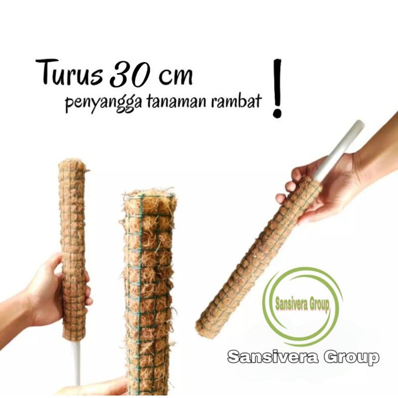 Turus Tanaman 30cm / Turus Penyangga Tanaman Rambat