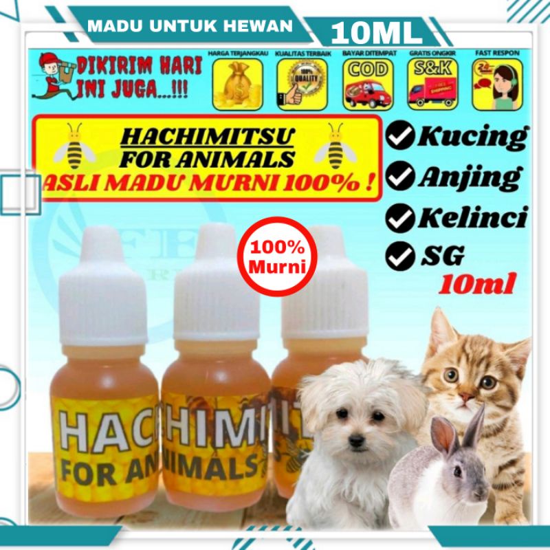 Madu Kucing Anjing Hamster Glider Penunjang Daya Tahan Nafsu Makan Vitamin HATCHIMITSU UNTUK PELIHARAAN KESAYANGAN