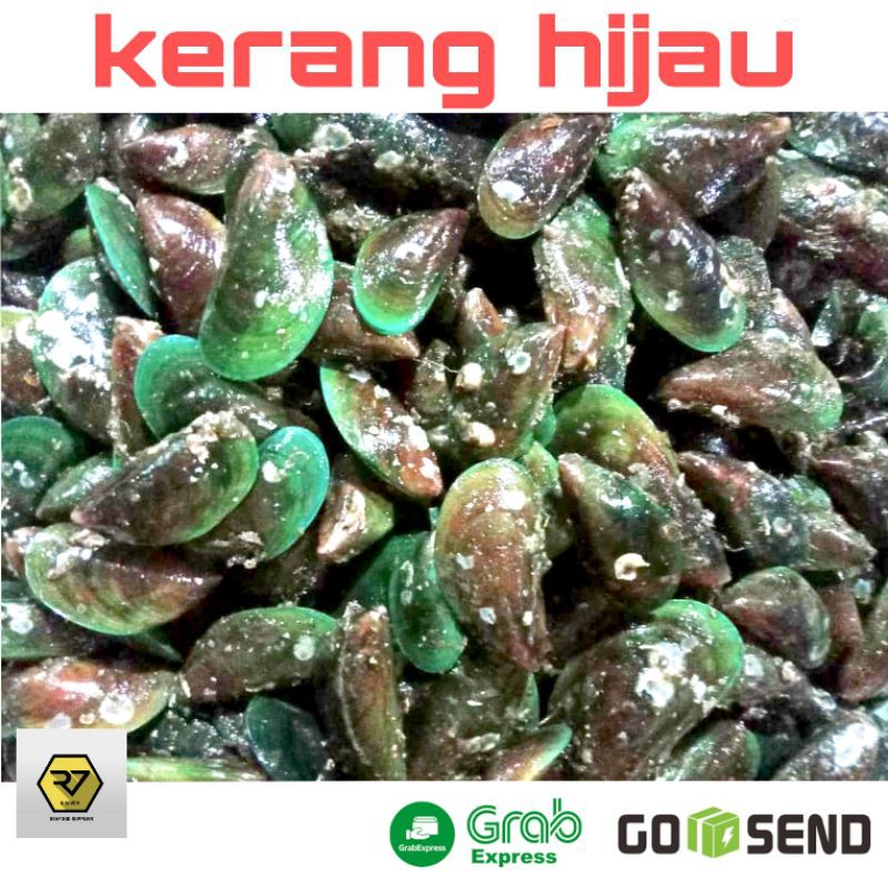 

Kerang hijau