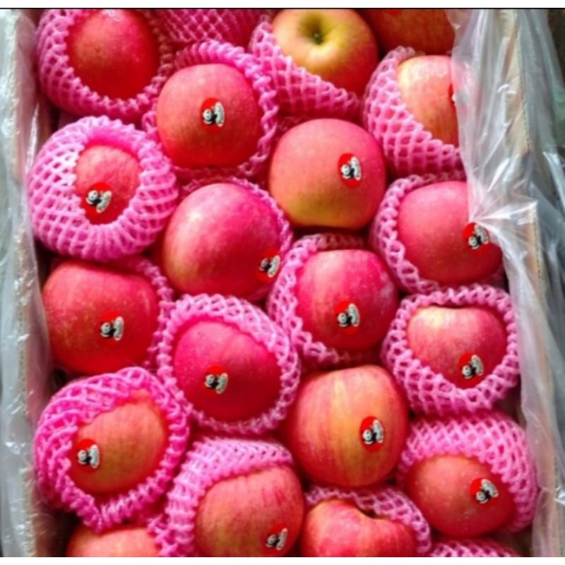 

Buah apel Fuji RRC fresh import per 1 dus