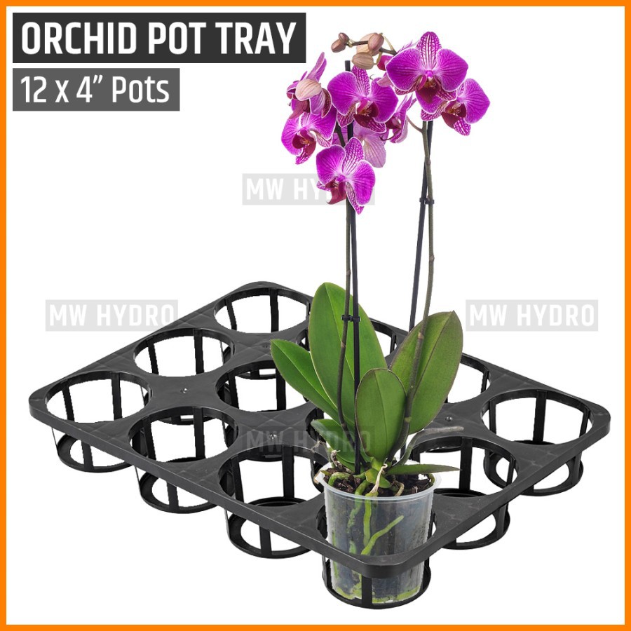 Orchid Pot Tray, Nampan Pot Bibit Anggrek, 12 Lubang 4&quot;