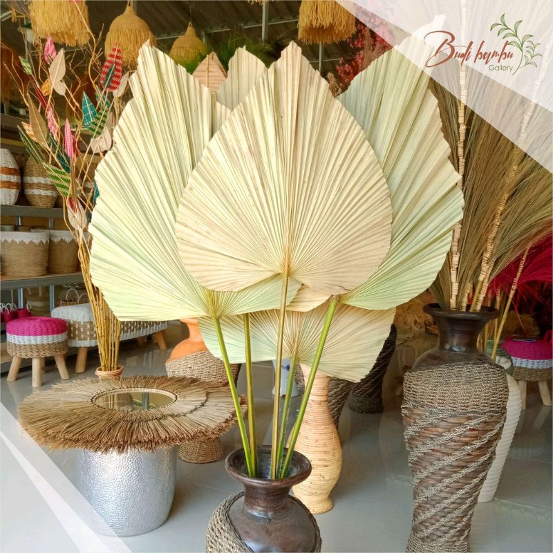 STICK DAUN PALEM KERING HIASAN SUDUT RUMAH RUSTIC UKURAN M MURAH