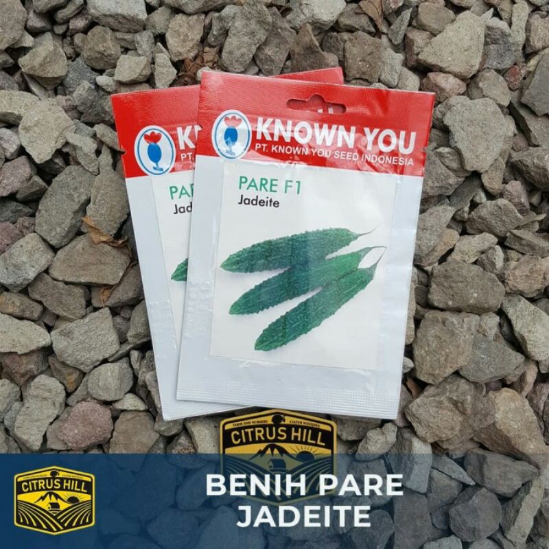 Benih Pare/Paria Jadeite Known You Seed SP
