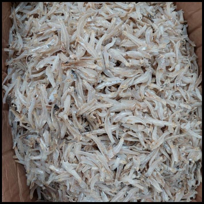 

Teri Jengki Medan Murah1Kg