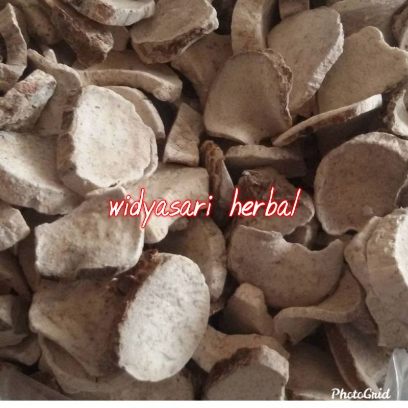 

Keladi Tikus Kering 100gr