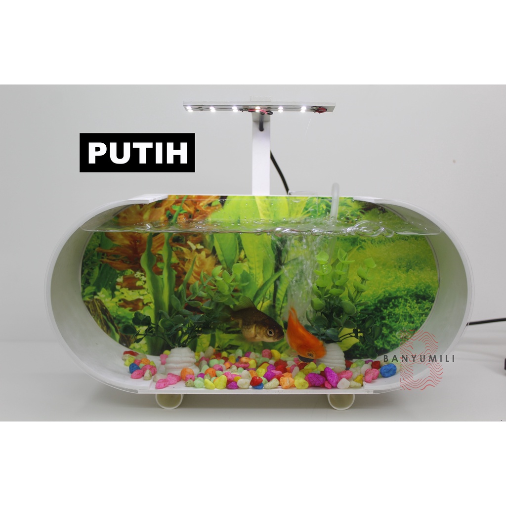 Artavela45 Aquarium Akrilik 5 Dim Full Set + Pompa Aerator + Batu Gelembung + Lampu Led
