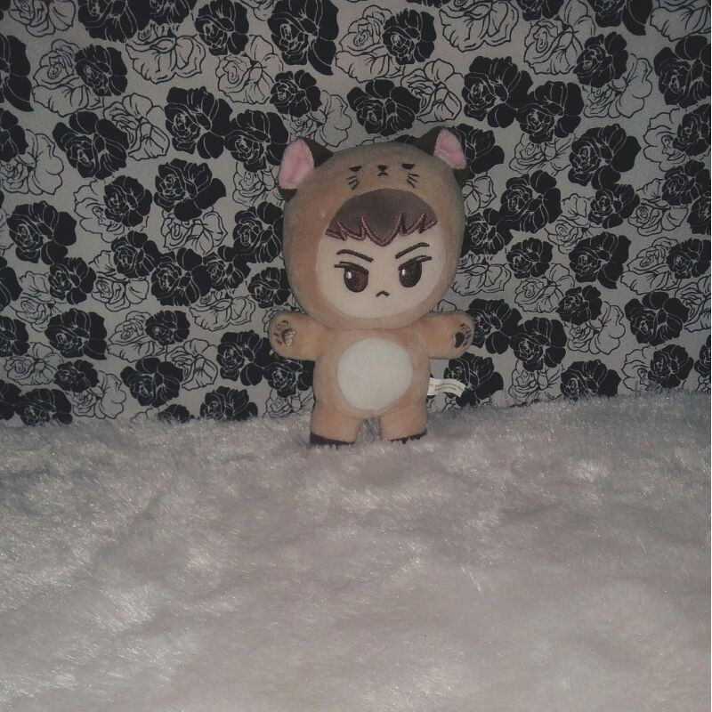 (Mohon Baca Deskripsi) Ready Preloved Boneka Oh Sehun Kitty Hun 15cm KPop Boneka Cowok Oppa Korea Pl