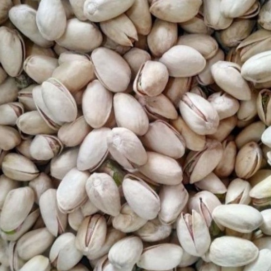 

kacang fustuk 500gr