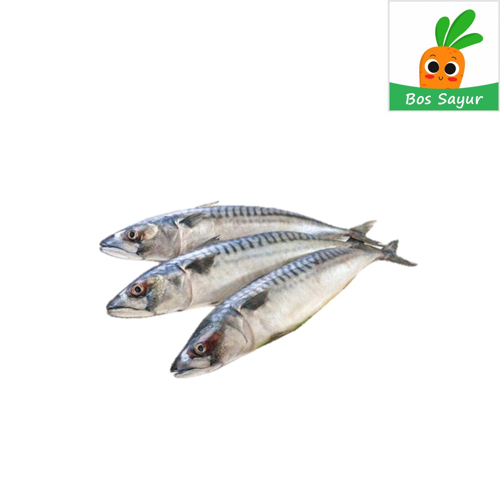 

Ikan Kembung Beku 3-4 pcs 500 gr - Bos Sayur