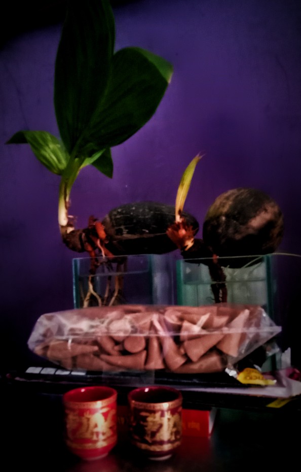 Hio Dupa Stik Aromaterapi Darshan Life Maharaja Gold Incense Sticks Pendek