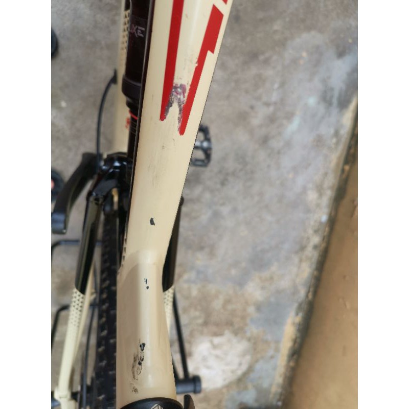 Polygon Siskiu D7 2020