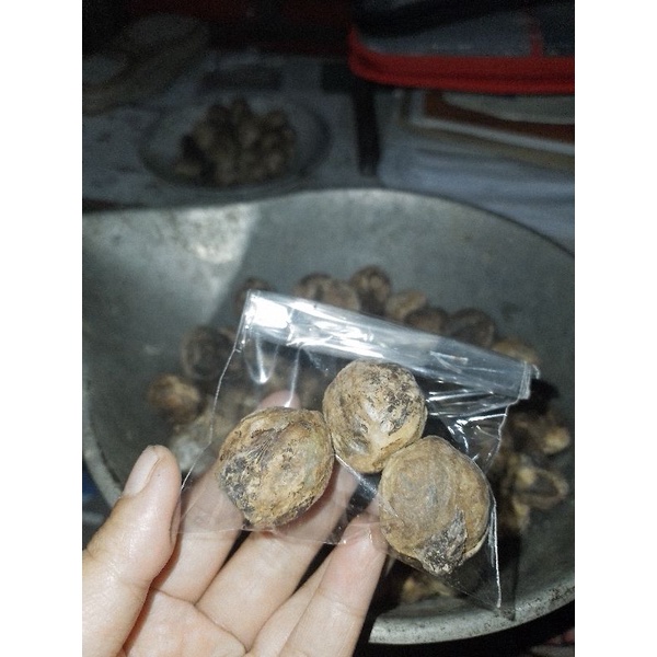 

BIJI KEMIRI ASLI ISI 3 (12 GRAM) | BIJI KEMIRI SUPER | BIJI KEMIRI BELUM KUPAS | BIJI KEMIRI UTUH| BIJI KEMIRI BARU DIJAMIN FRESH| BIJI KEMIRI TERMURAH | KEMIRI UTUH | MUNCANG UTUH NORMAL | MUNCANG BARU | REMPAH NUSANTARA