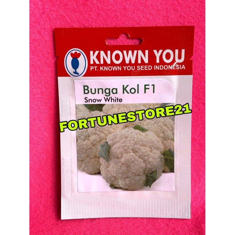 Benih Bunga kol Snow white Original known you