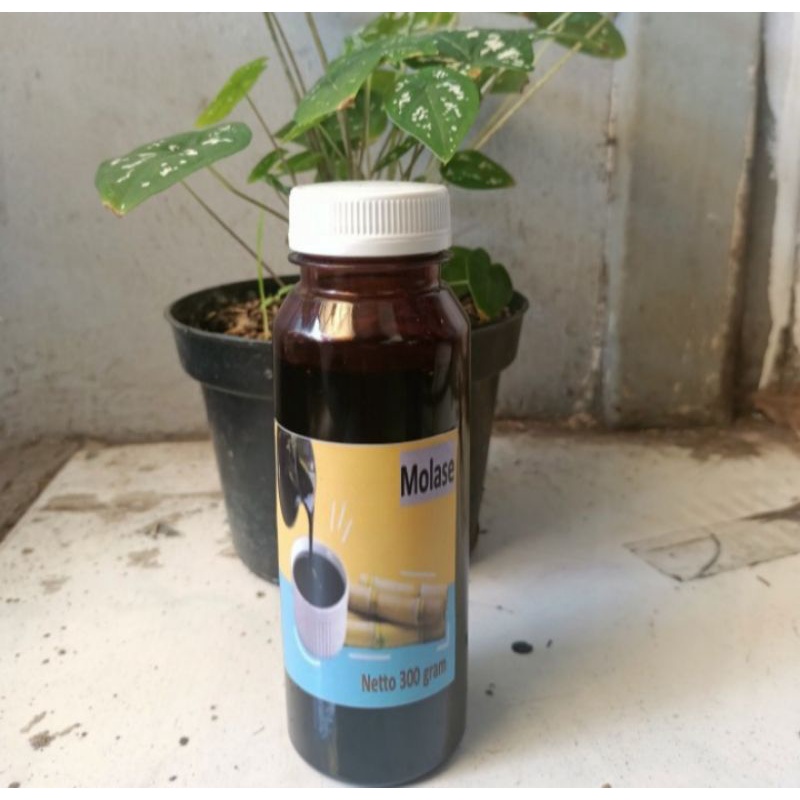 bakteri fermentasi em4 pertanian, molase repack, fermentasi metan