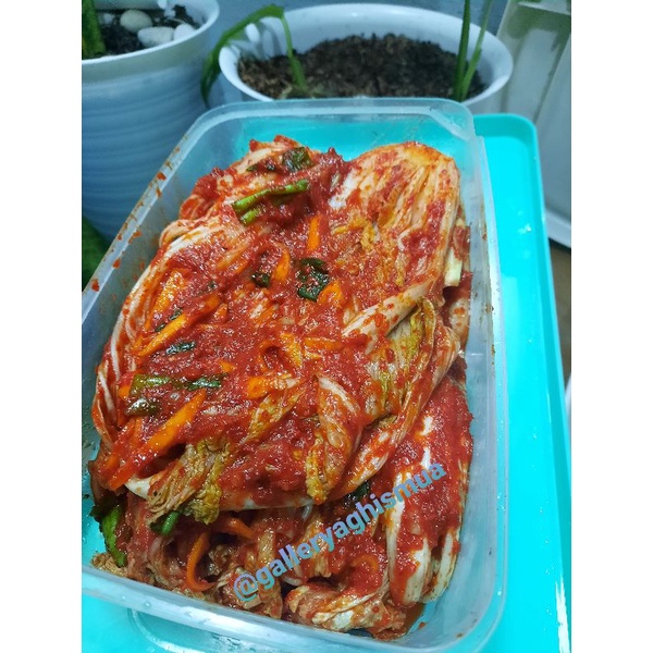 

Kimchi (Halal) Sawi UTUH