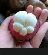 

BUAH MANGGIS BUAH FRESH BANDUNG