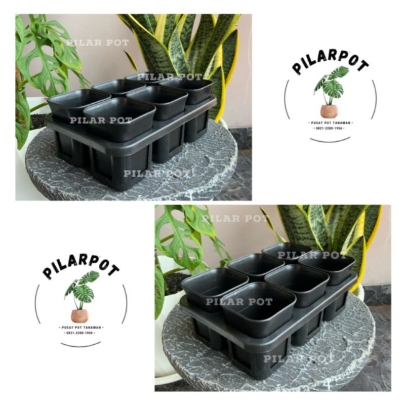 1 set Tray + POT BUNGA NKT KOTAK 7 CM HITAM | tray semai bibit