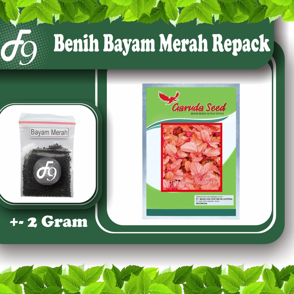 Benih Bibit Bayam Merah Murah Repack Seribuan