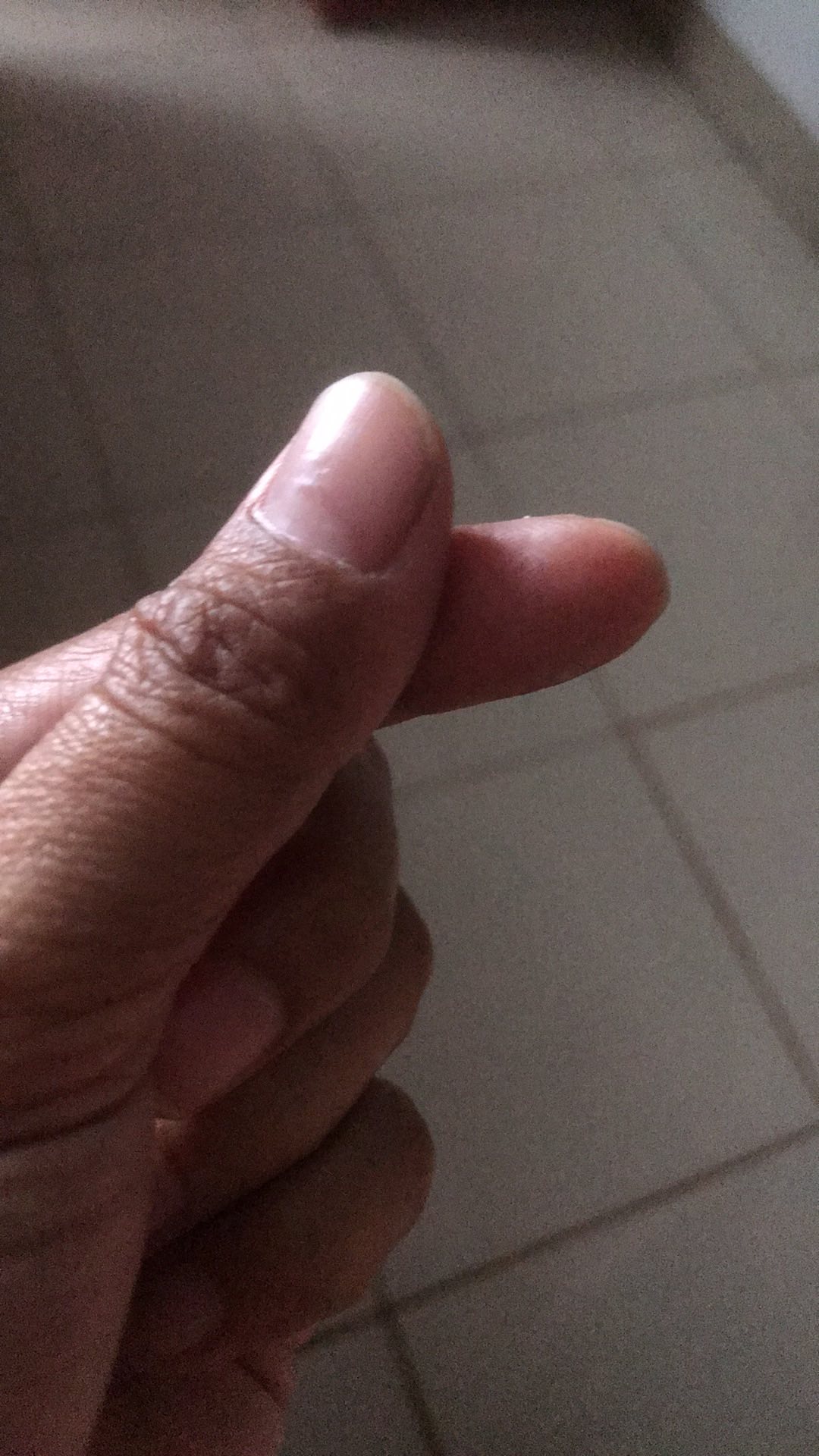 Gantungan Rak Serbaguna 5 Hook Gantung Stainless Dapur Kamar Mandi