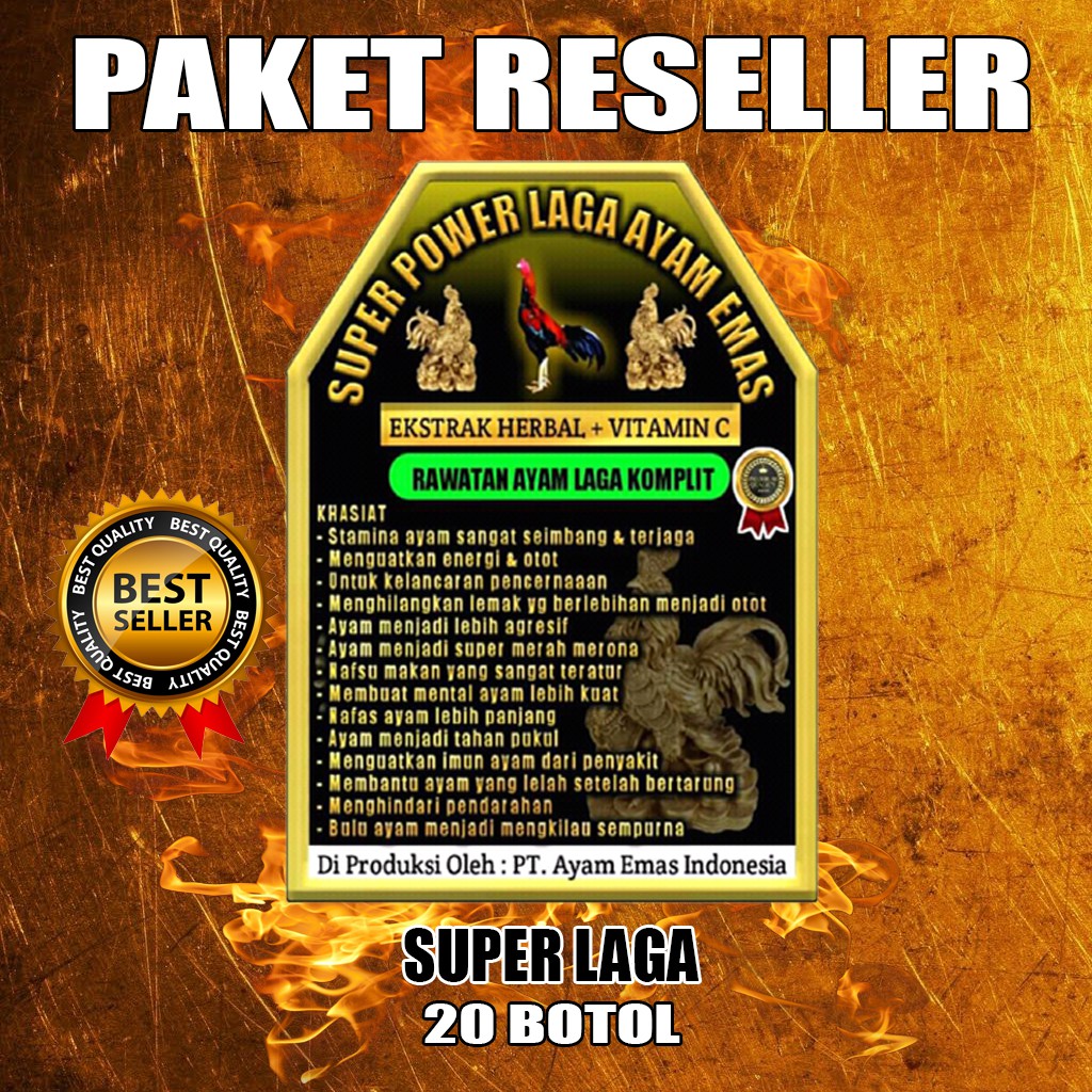 

Reseller Super laga PROMO - Ayam Emas