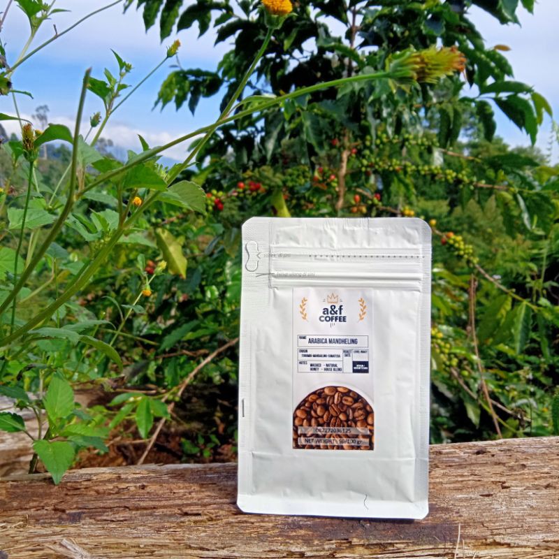 

Kopi Arabika Mandailing bubuk wine 100 gr