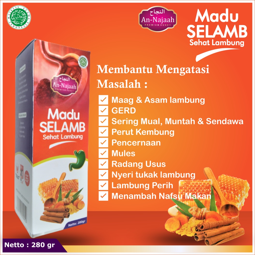 Madu Lambung Sehat | Sehat Lambung An-Najaah 280 gr