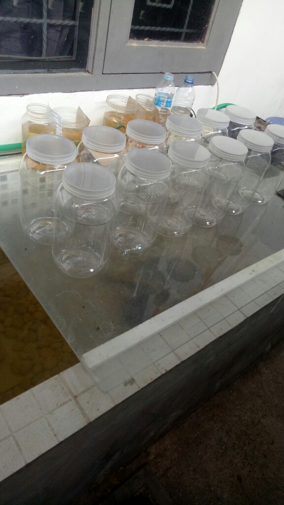 Toples Jar Plastik 2 Liter