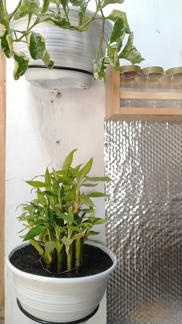 Standing Pot Dinding Termurah Langsung Dari Pabrik Gantunganbunga Rak Pot Dinding