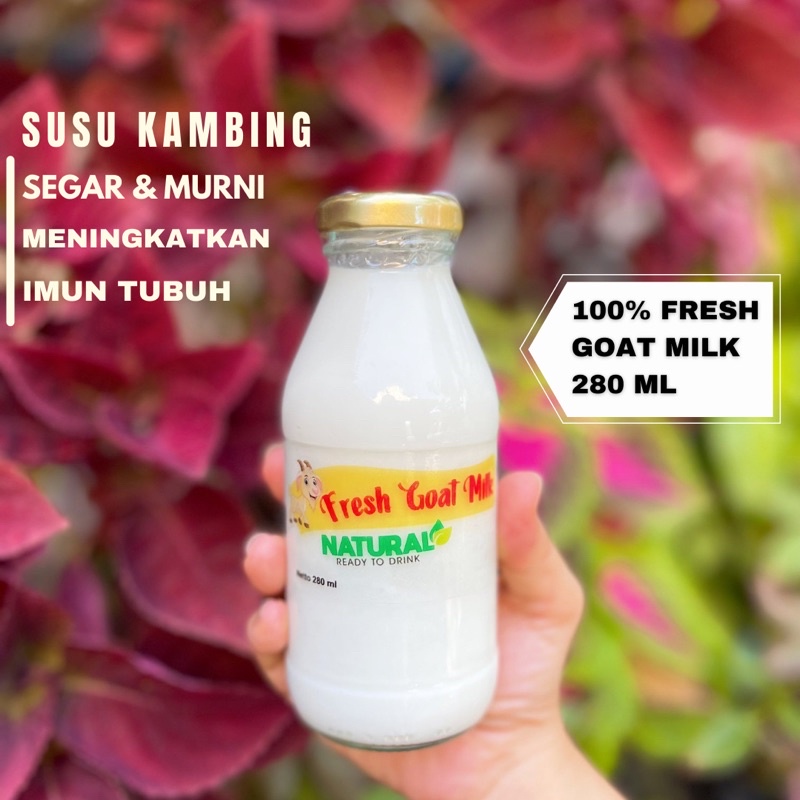 

Susu Kambing Segar (280Ml) | Fresh Goat Milk | Raw Milk NATURAL