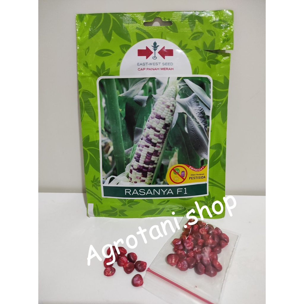 Benih Jagung Ketan Rasanya Kemasan Repack-Cap Panah Merah