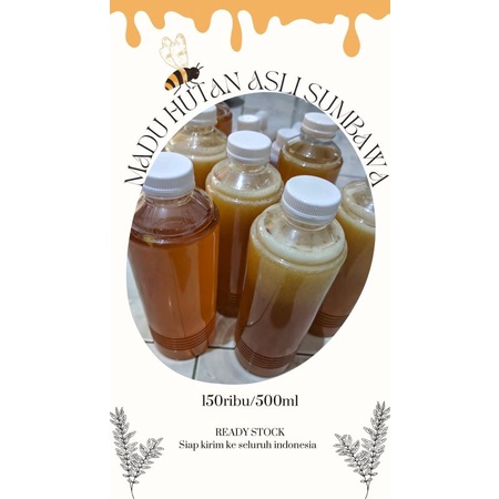 

Madu Hutan Asli Sumbawa 500ml