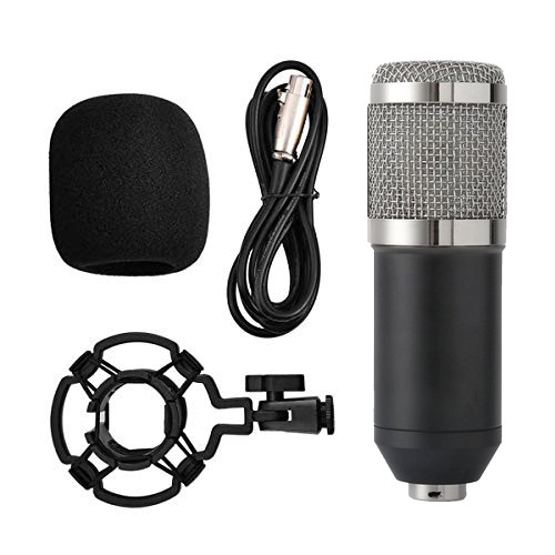 BM-900 MIC ONLY Professional Studio Condenser Sound Recording Microphone Unidirectional Cardioid