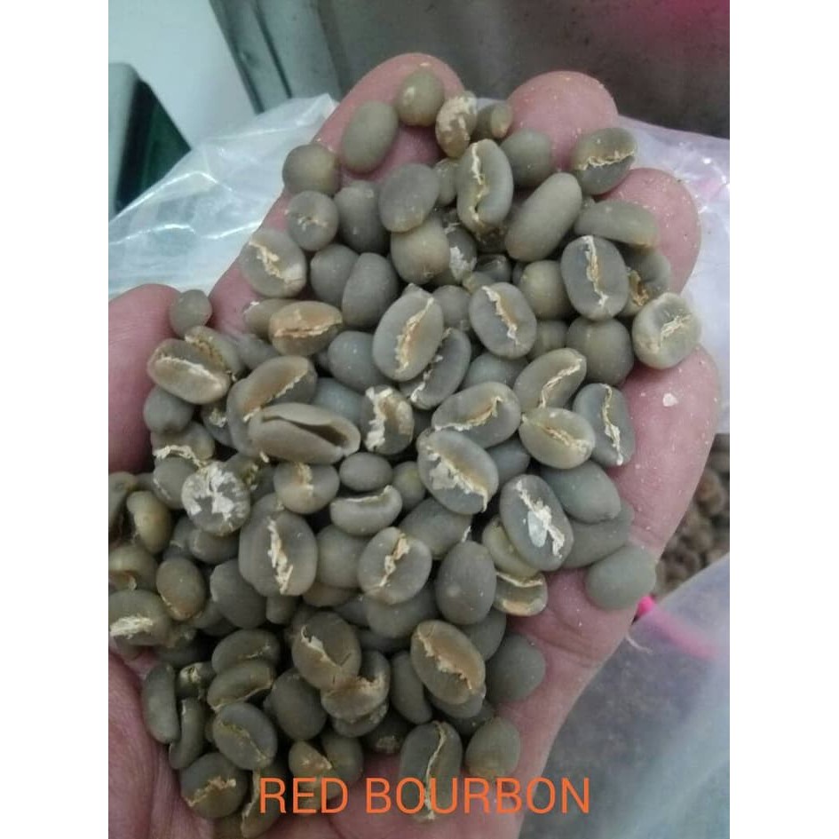 

KOPI ARABICA RED BOURBON GAYO - kkp1161