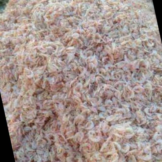 

Udang rebon 500gram