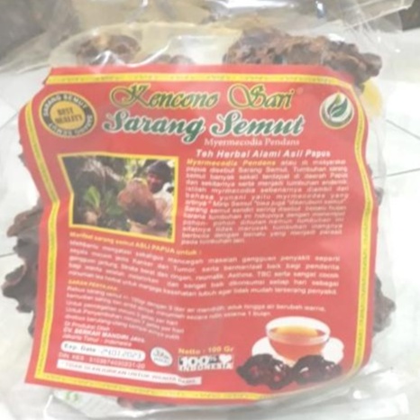 Herbal Sarang Semut  Papua 100 gr  Mengobati kanker otak, Hidung, Liver, usus, Rahim, Paru-paru, Prostat