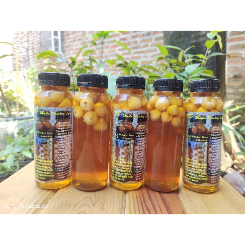 madu bawang lanang 330gram kolesterol diabetes asam urat