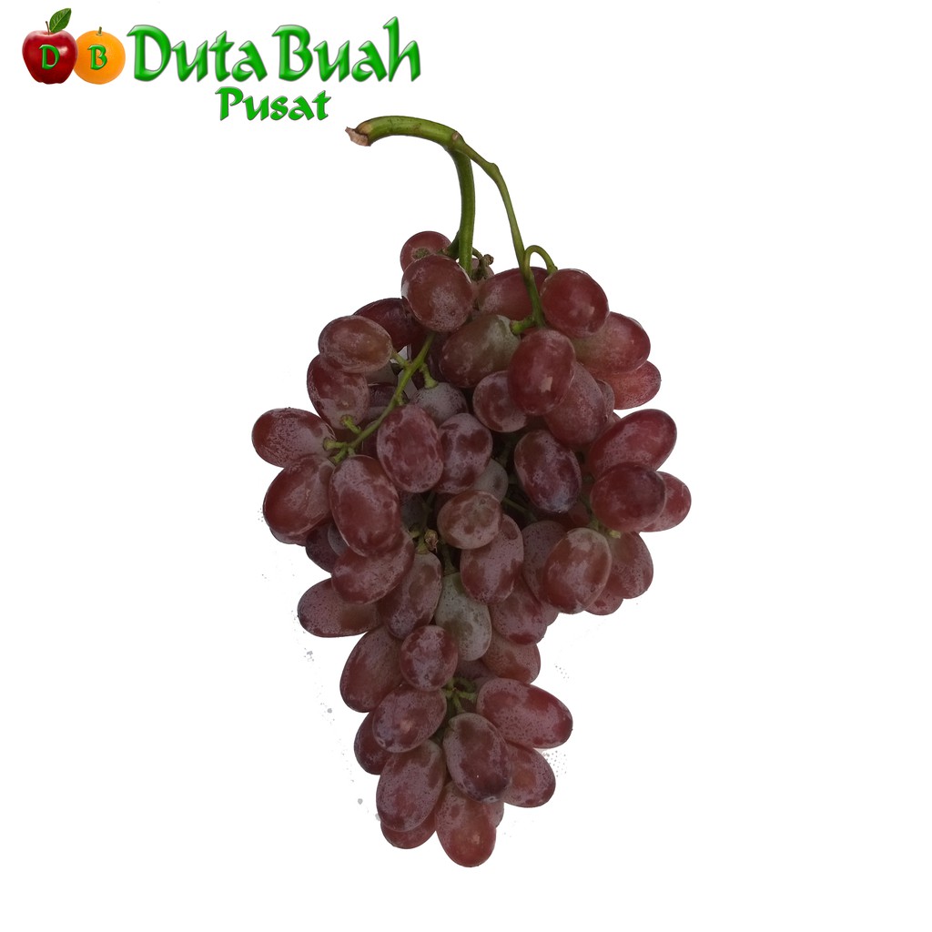

DUTA BUAH Anggur crymson RRC 800g