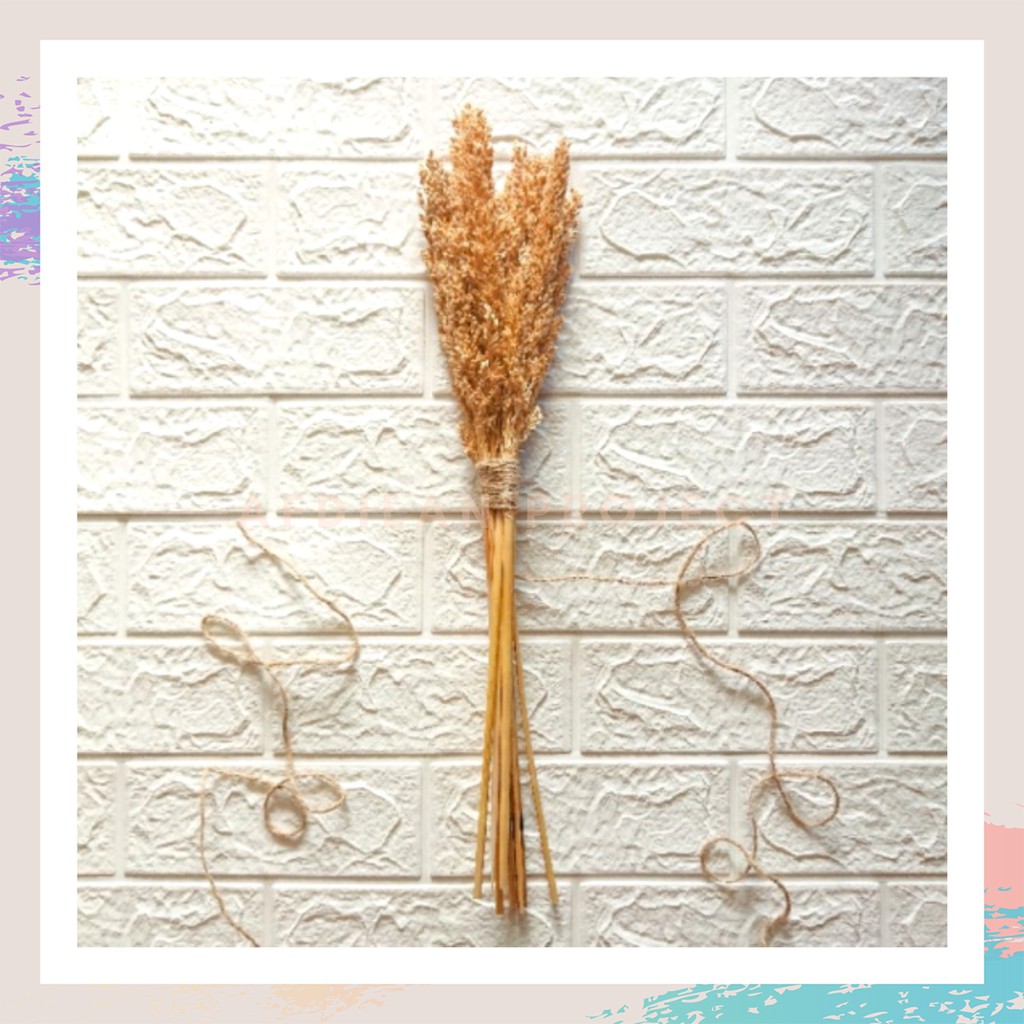 Bunga Hias Bunga Kering Bunga Rustic Bunga Cantel Kering