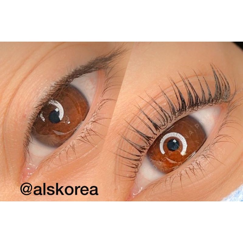 ORIGINAL (HOLOGRAM) KOREA Rolly King Max Rollyking Lashlift Lash Lift Eyelash Extension Korea Flying set kit 1box