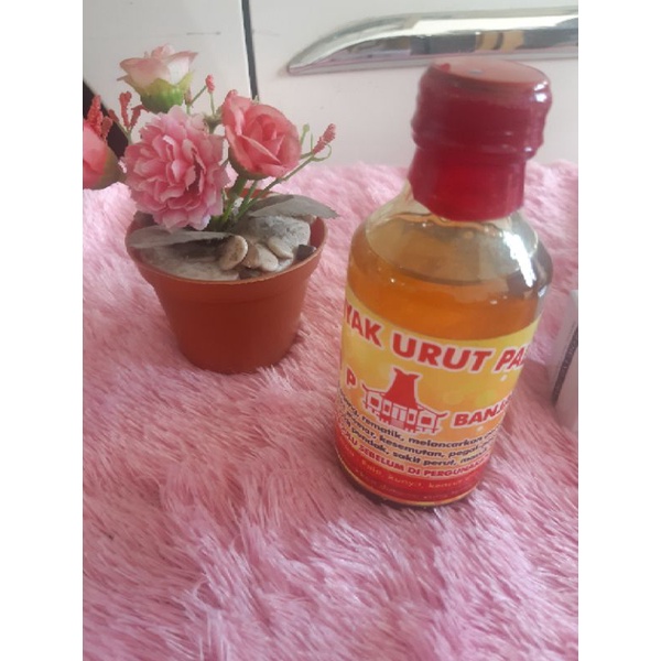 minyak urut pala