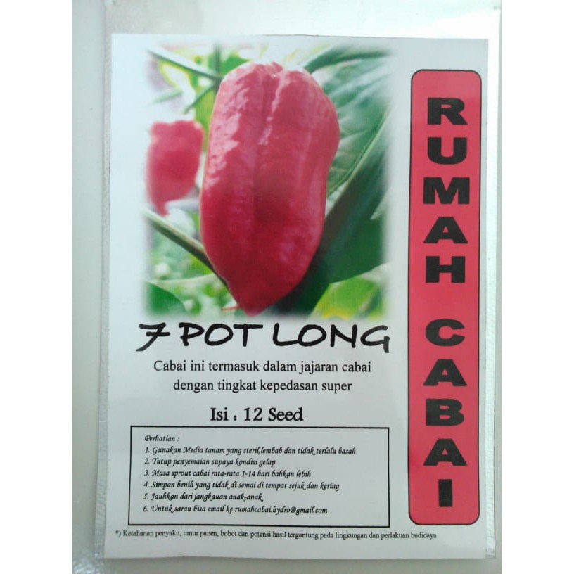 BENIH CABAI 7 POT LONG CABAI SUPER PEDAS CABAI TERPEDAS RUMAH CABAI BENIH CABE