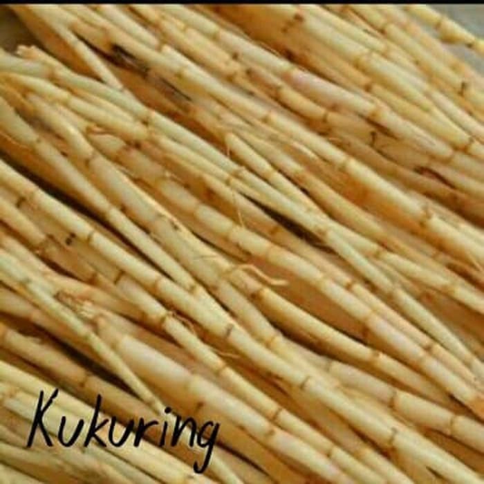 

Akar alang alang ilalang segar super fresh 1kg