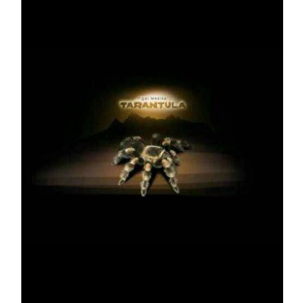 alat sulap tarantula